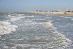 a1059271136997503-15370