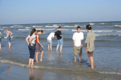 a1445561136997501-15370