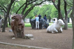 a2174461136997506-15370