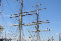 a3395601136997504-15370