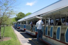 a3633381136997500-15370