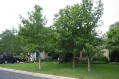 a6679261136997506-15370