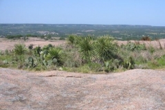 a8063951136997520-15370