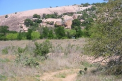 a9164841136997522-15370